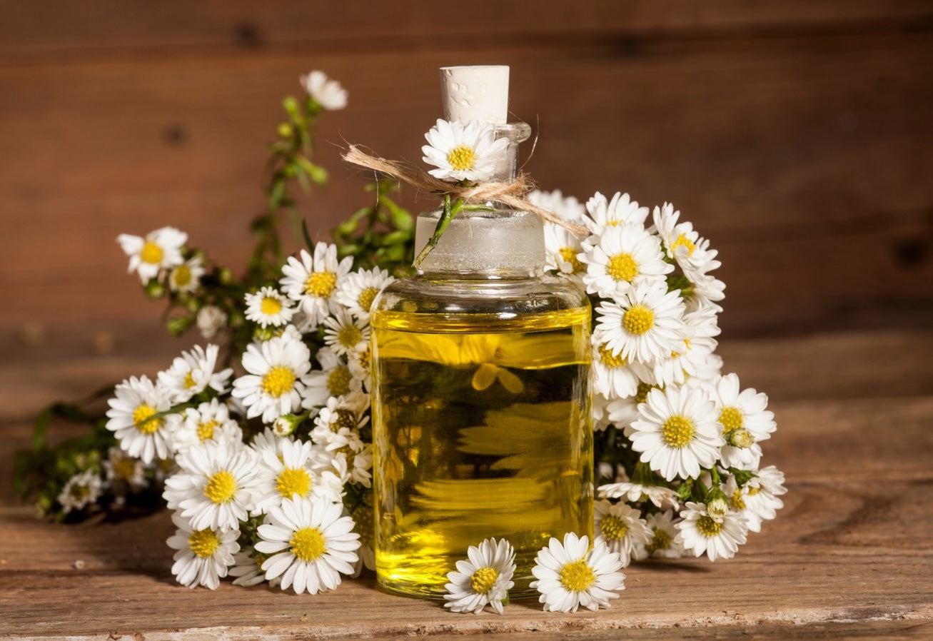 Chamomile