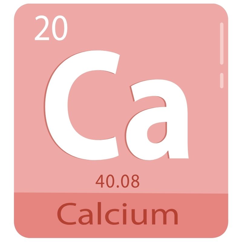 Calcium - Coal Harbour Pharmacy