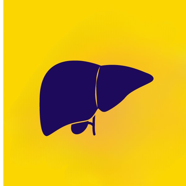 Liver Health - Coal Harbour Pharmacy