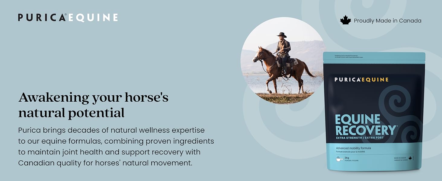 Equine Recovery Extra Strength | Purica®| Powder