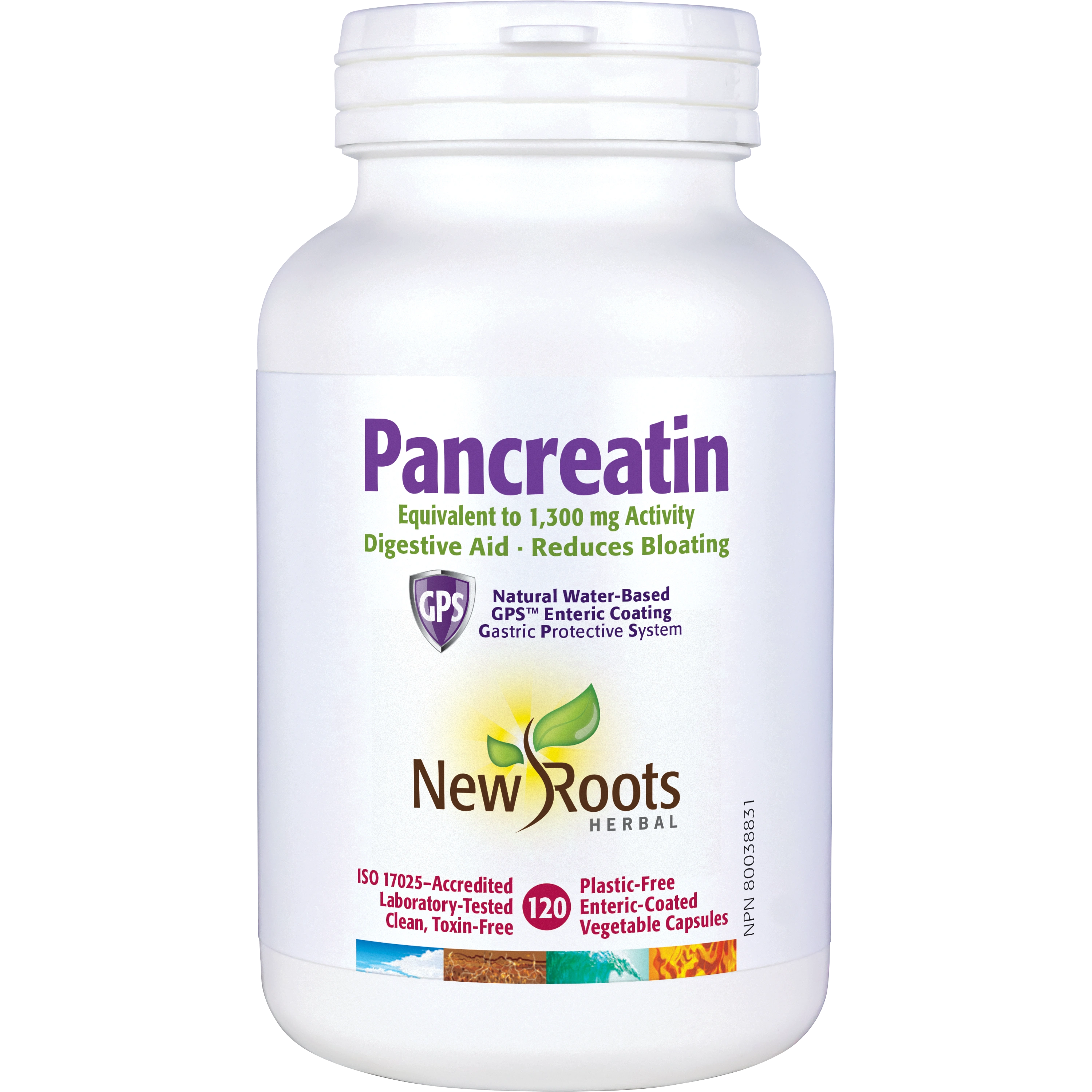 Pancreatin | New Roots HERBAL® | 120 Capsules