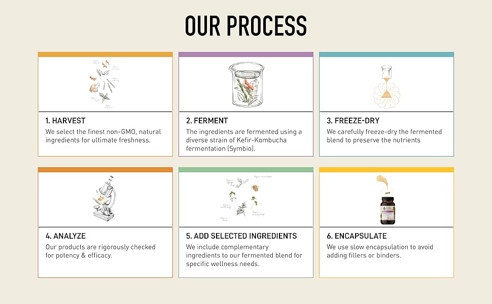 Women’s DAILY + | Living Alchemy | 60 Vegan Capsules