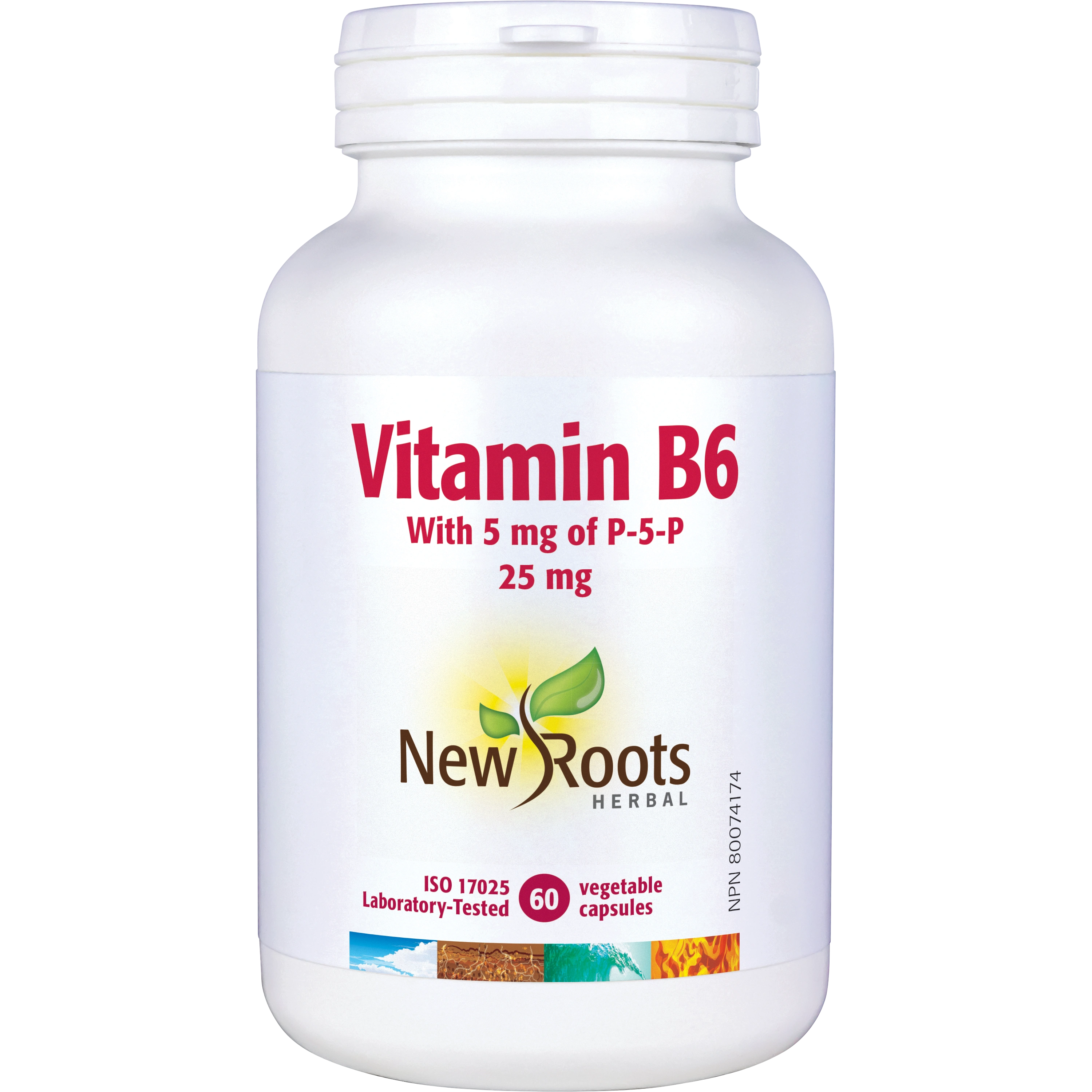 Vitamin B6 | New Roots HERBAL® | 60 Vegetable Capsule