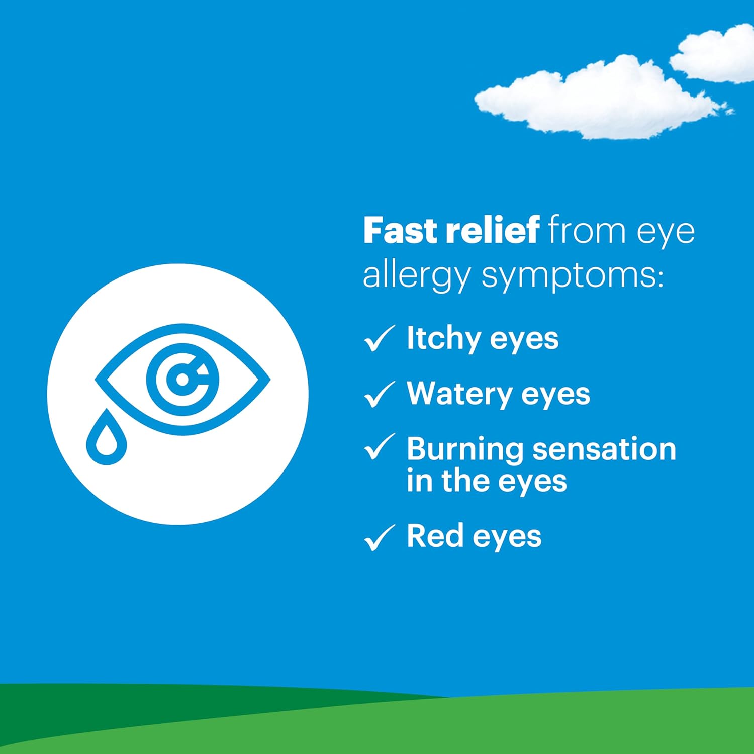 Allergy Eye Drops | Claritin® | 10 mL