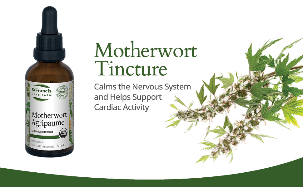 Motherwort | St. Francis Herb Farm | 50 mL