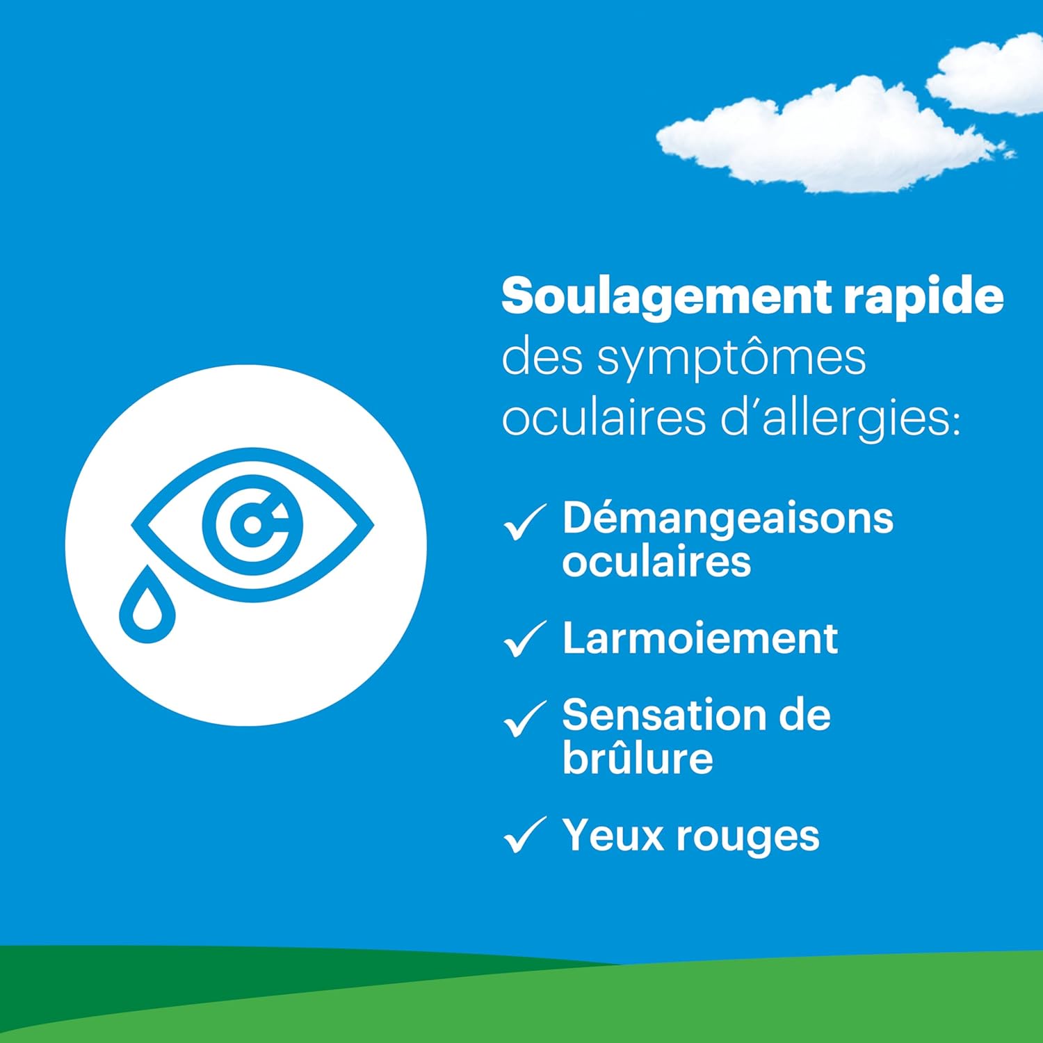 Allergy Eye Drops | Claritin® | 10 mL