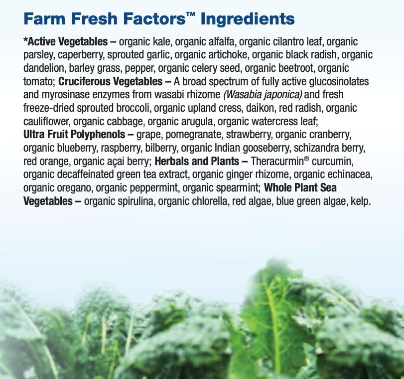 BioCoenzymated Benfotiamine | Natural Factors® | 30 or 60 Vegetarian Capsules