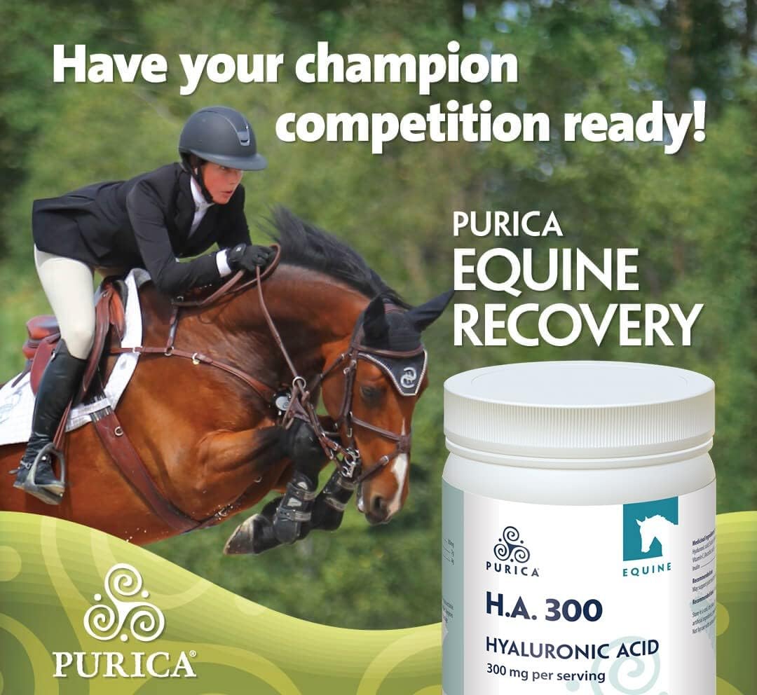 Equine HA 300 | Purica® | Powder