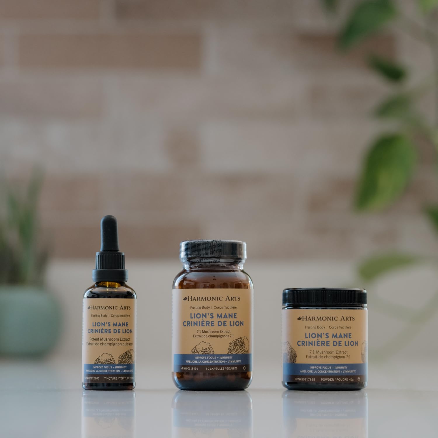 Lions Mane | Harmonic Arts® | 60 Capsules