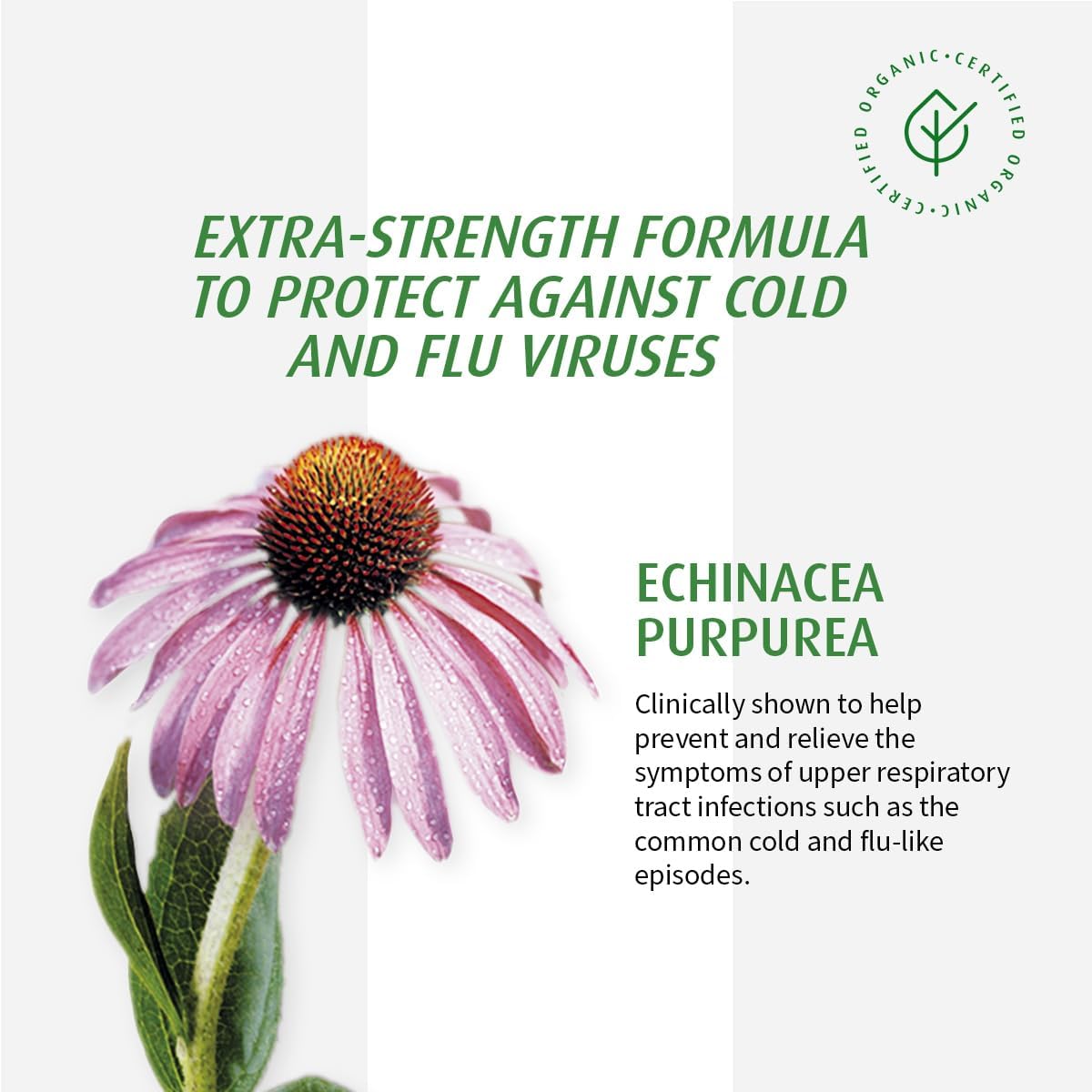 Echinaforce Extra | A.Vogel | 30 Tablets