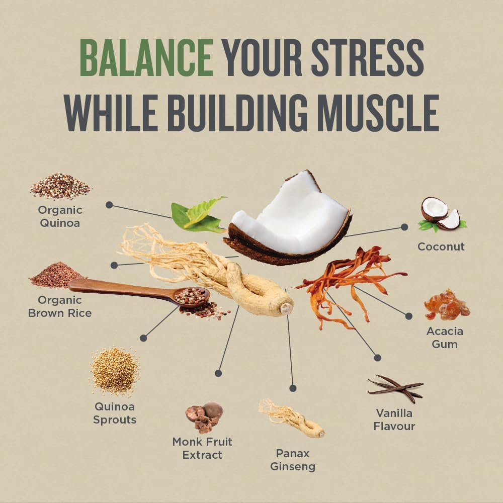 Perfect Protein Elevated - Energy Booster | Botanica | 574 g