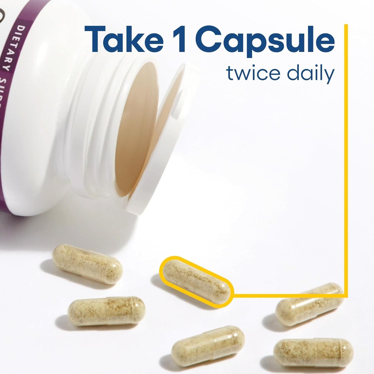 Celery Seed Extract | Natural Factors® | 60 Capsules