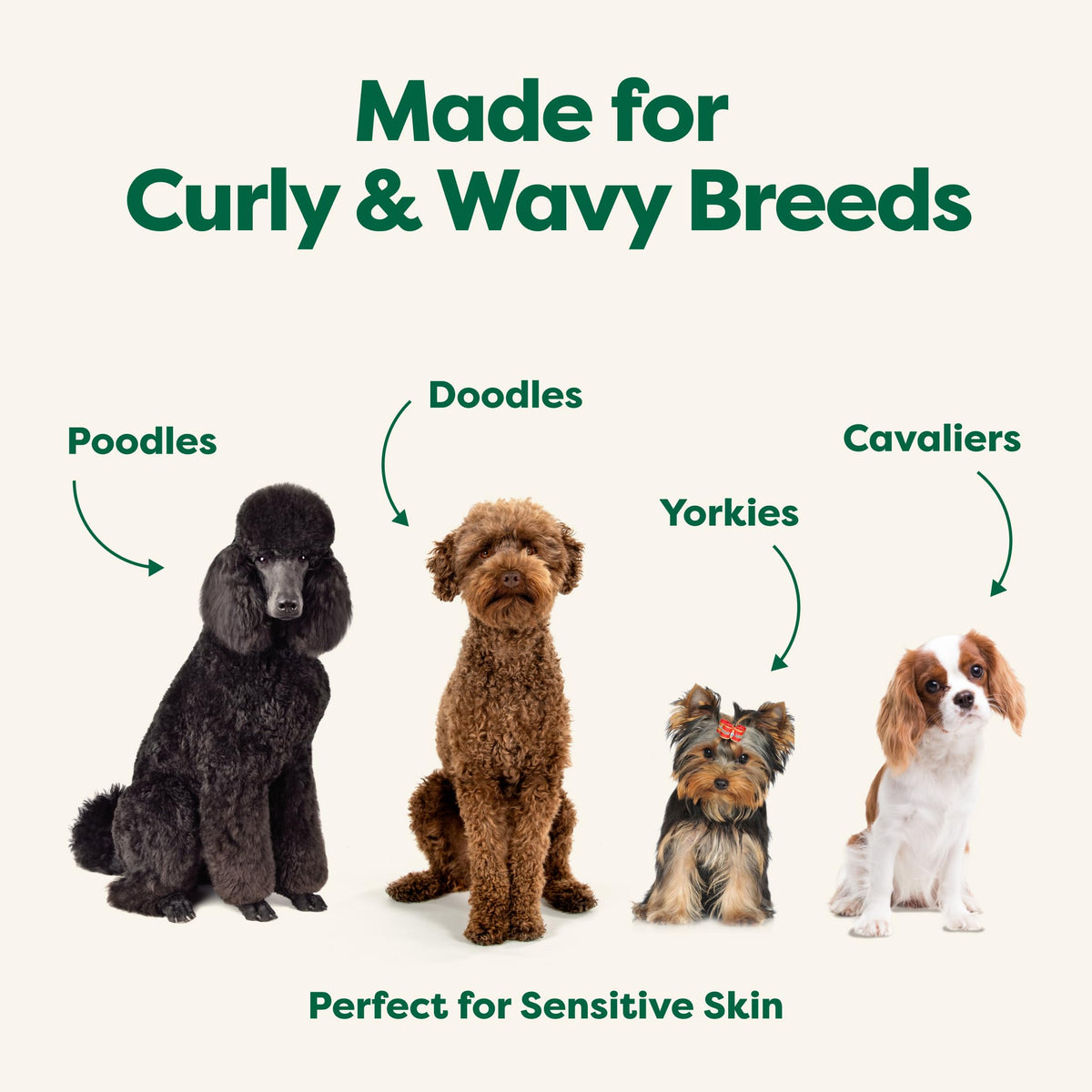 Earth Rated (A Canadian Company), 3-in-1 Detangling Dog Shampoo and Conditioner, Deodorizing Oatmeal Shampoos for Dogs and Puppies, Great for Smelly Pets, White Tea and Basil Scent, 473 ml š All In One Marketplace Canada