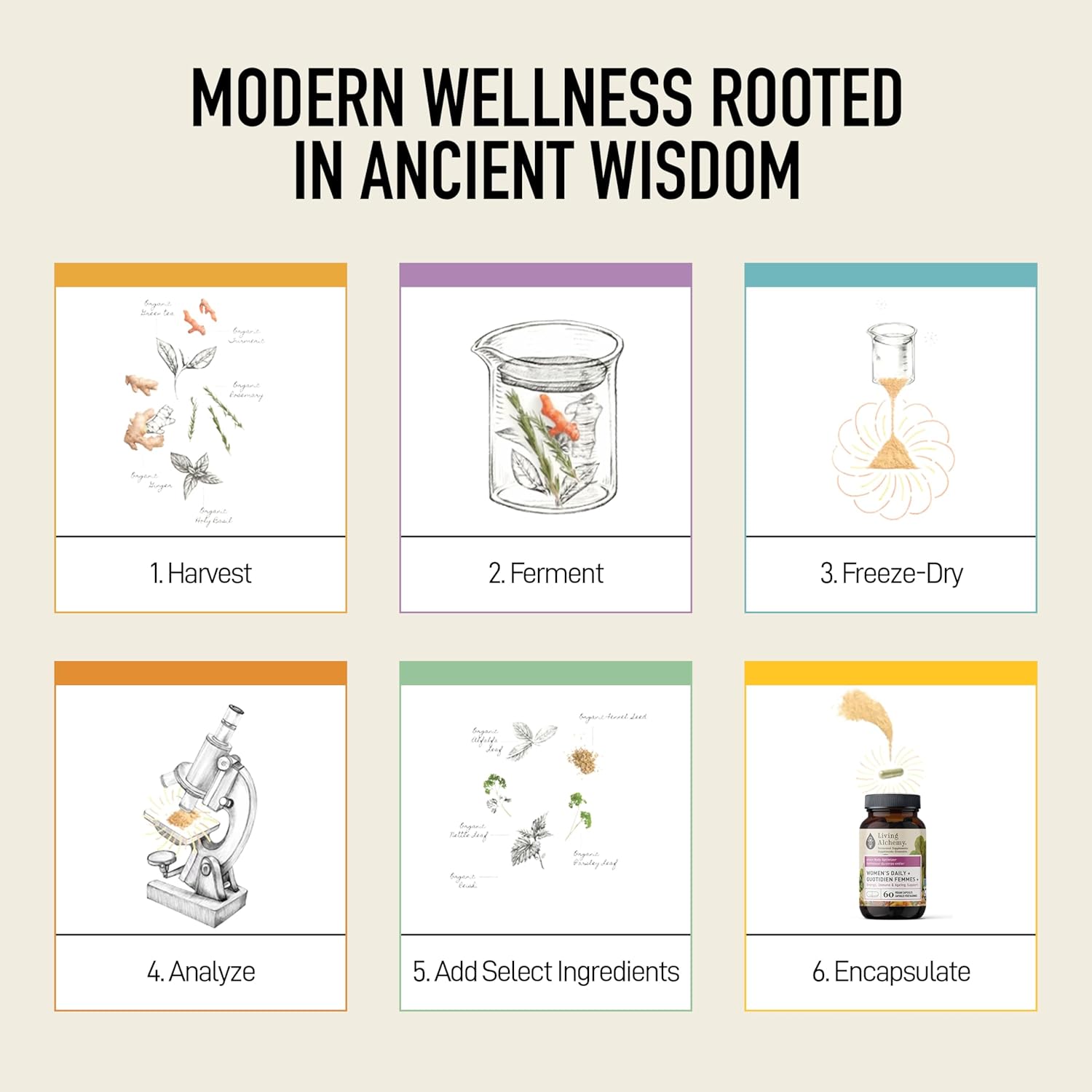 Women’s DAILY + | Living Alchemy | 60 Vegan Capsules