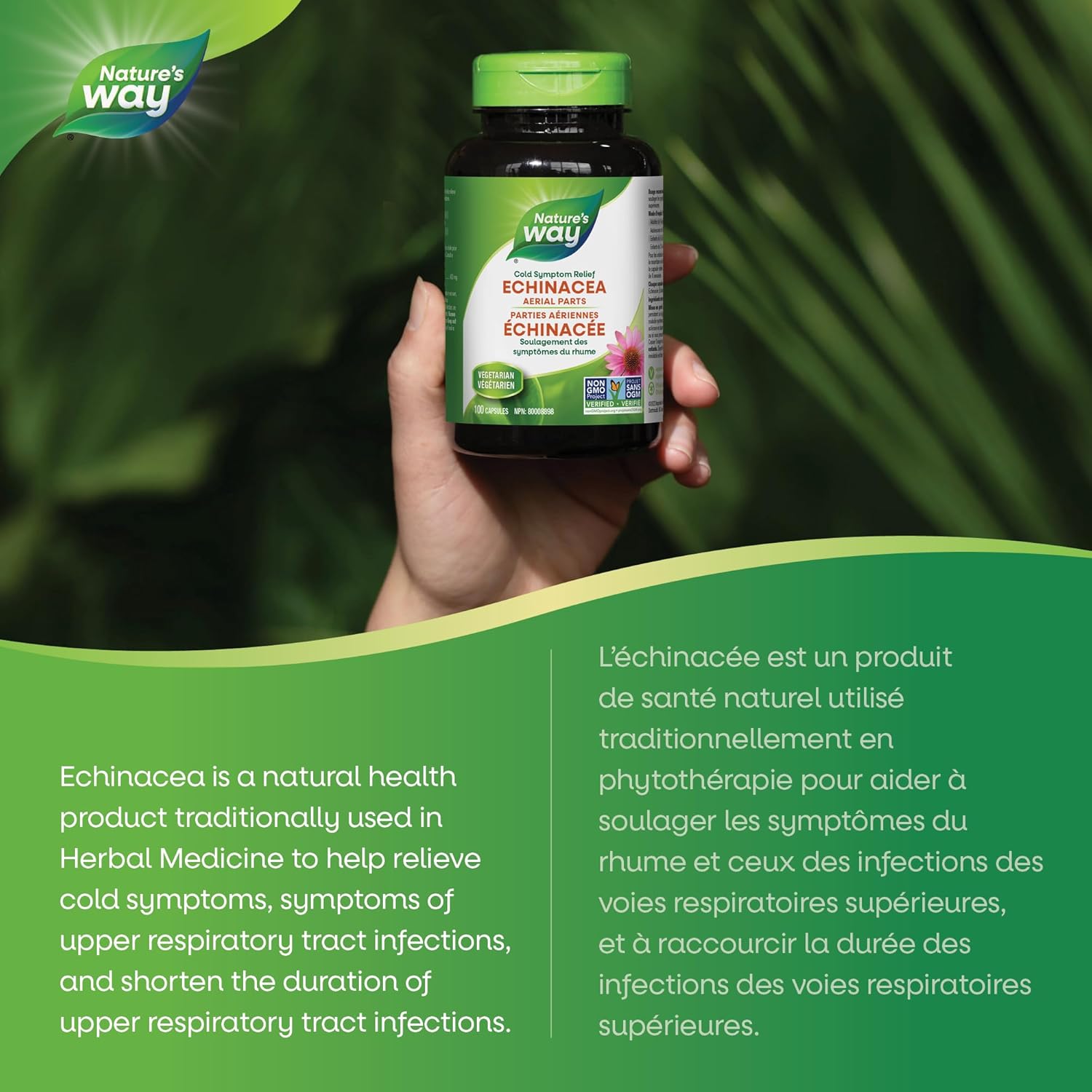 Echinacea Herb | Nature's Way® | 100 OR 180 Capsules