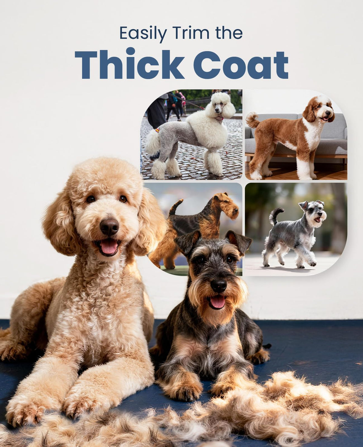 oneisall Dog Clippers for Grooming for Thick Heavy Coats/Low Noise Rechargeable Cordless Pet Shaver with Stainless Steel Blade/Waterproof Dog Shaver for Dogs Pets and Animals ๐ All In One Marketplace Canada