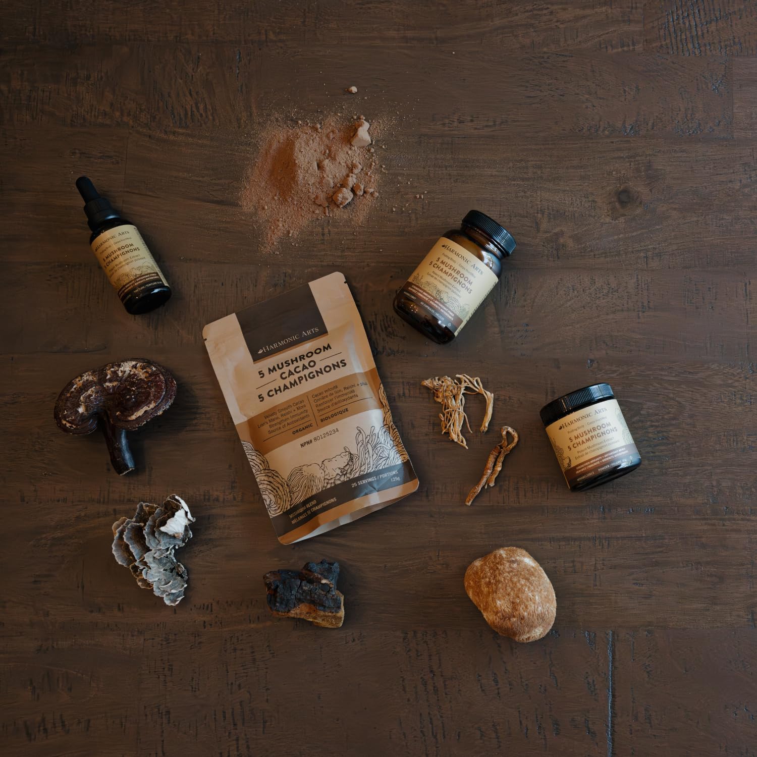 5 Mushroom Cacao Powder by Harmonic Arts® – Functional Mushroom & Cacao Wellness Blend | 125 g or 375 g