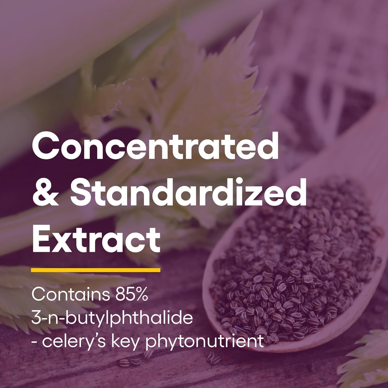 Celery Seed Extract | Natural Factors® | 60 Capsules