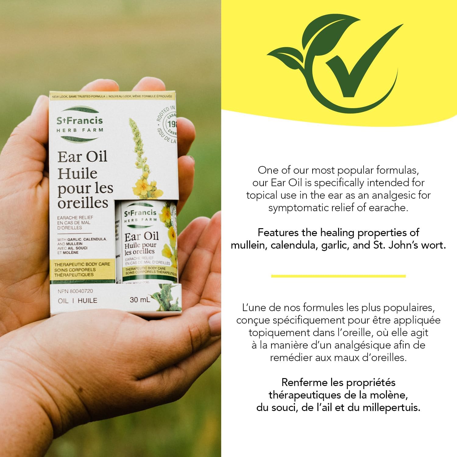 Ear Oil | St. Francis Herb Farm | 30 mL