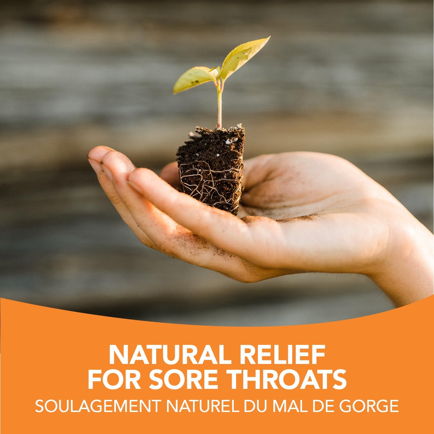 Stop It Cold® Throat Spray | St. Francis Herb Farm | 30 mL