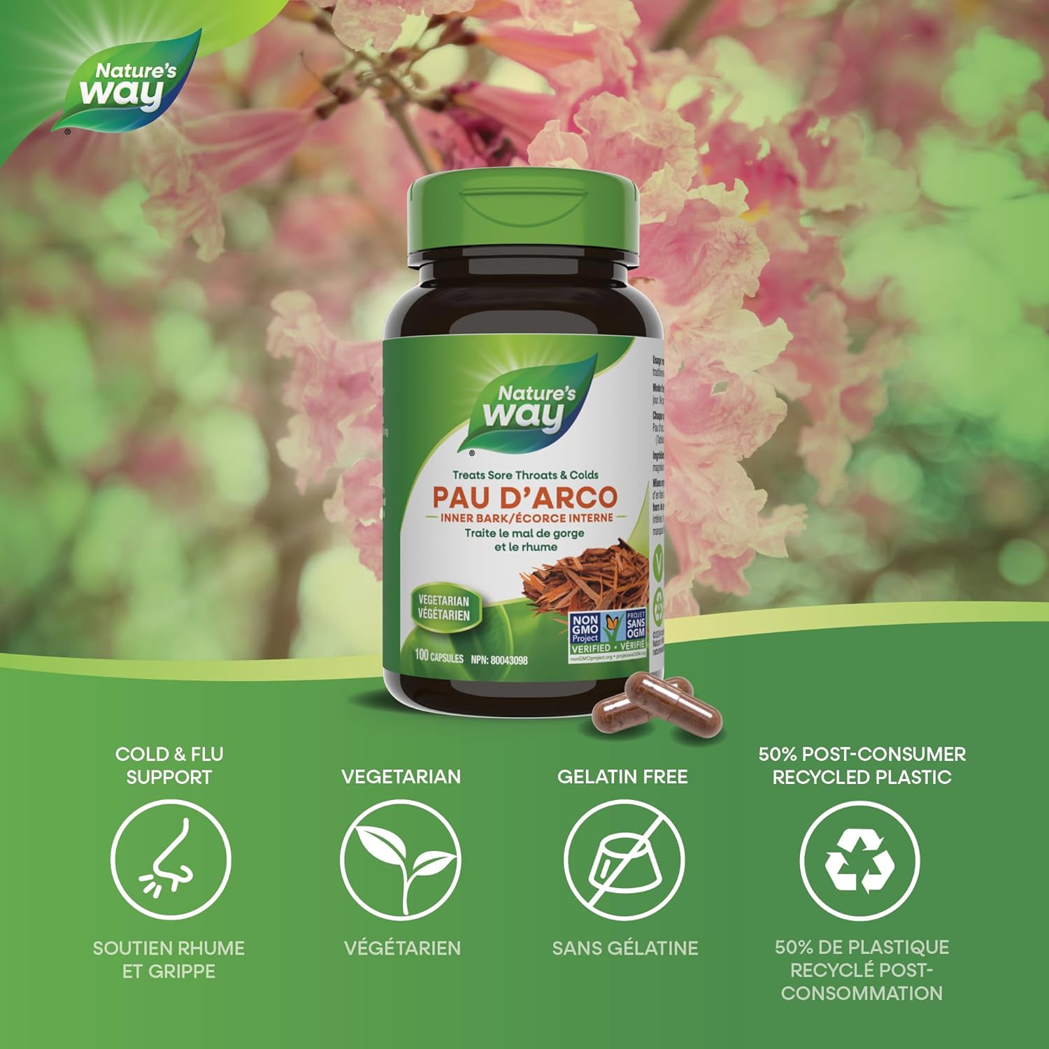 Pau D'Arco Inner Bark 545mg | Nature's Way® | 100 or 180 Capsules