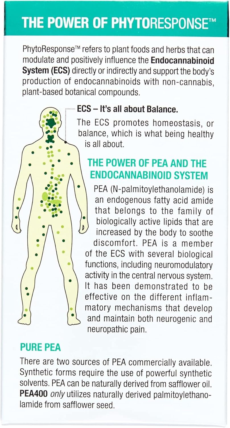 PEA400 Palmitoylethanolamide | Natural Factors® | 90 Capsules