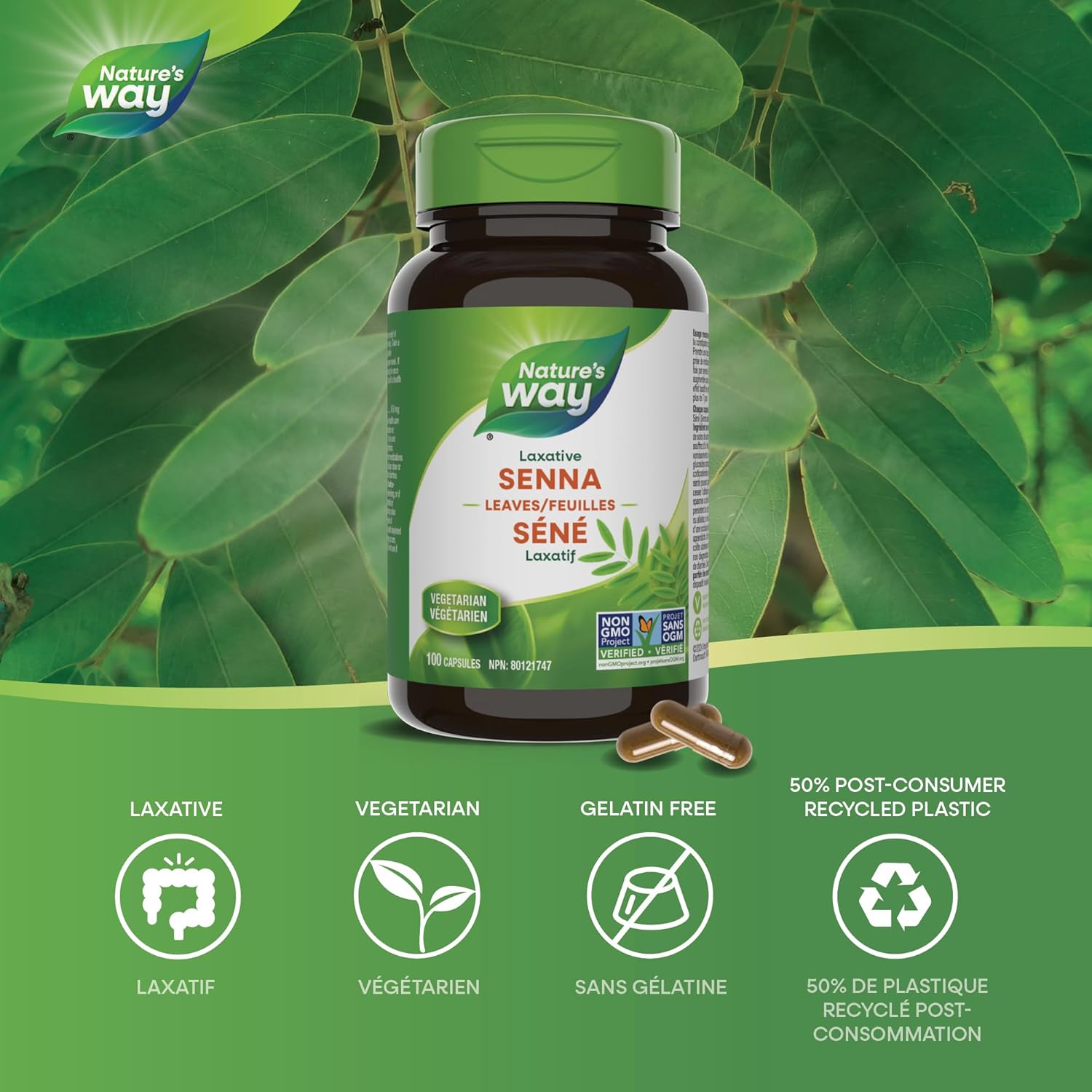 Senna Leaves | Nature's Way® | 100 Capsules