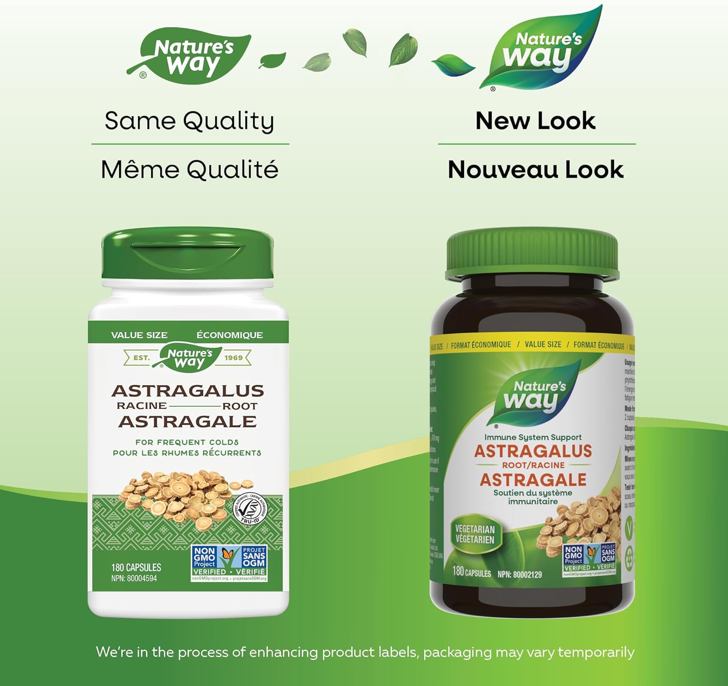 Astragalus Root | Nature's Way Canada | 100 OR 180 Veg Capsules