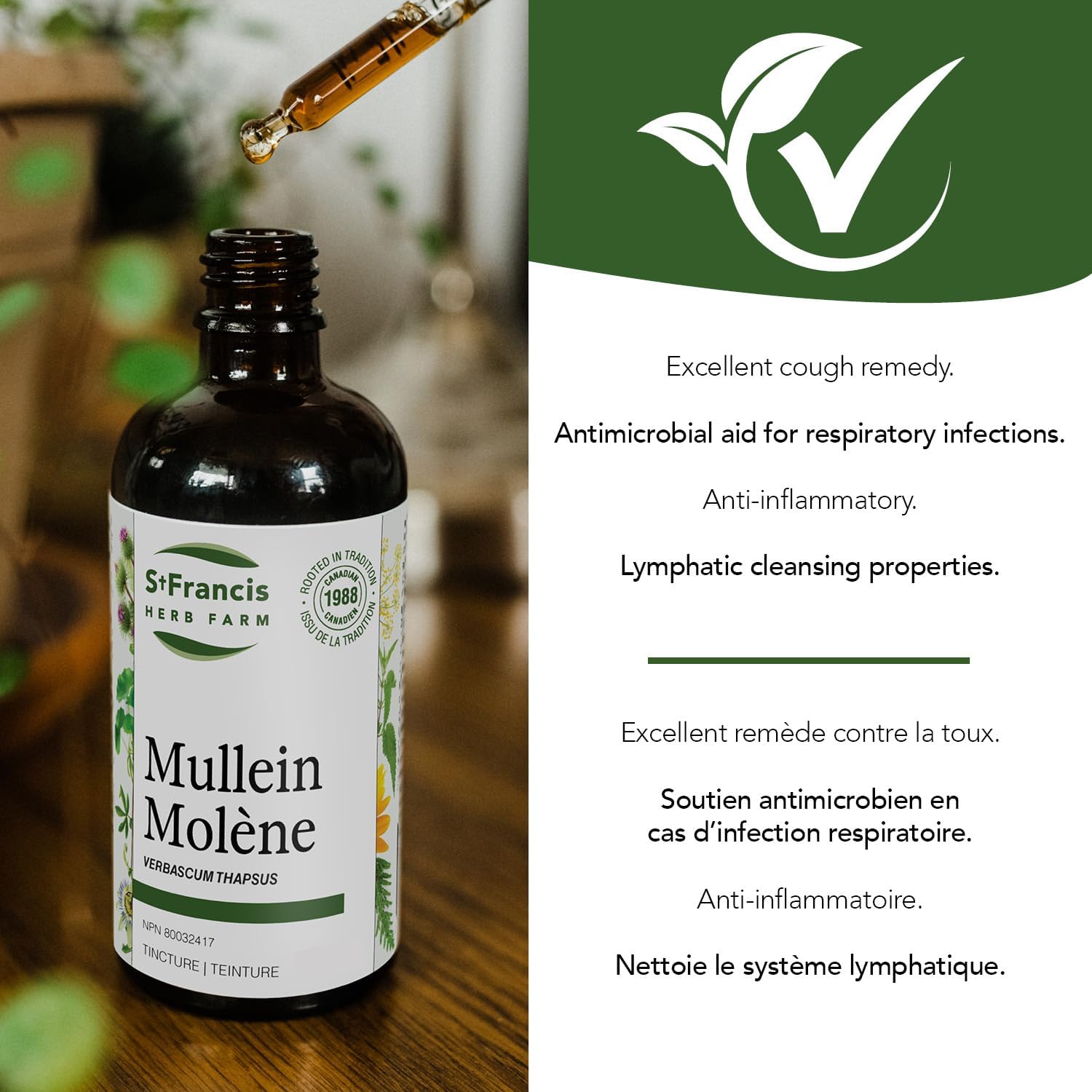 Mullein | St. Francis Herb Farm | 50 mL or 100 mL