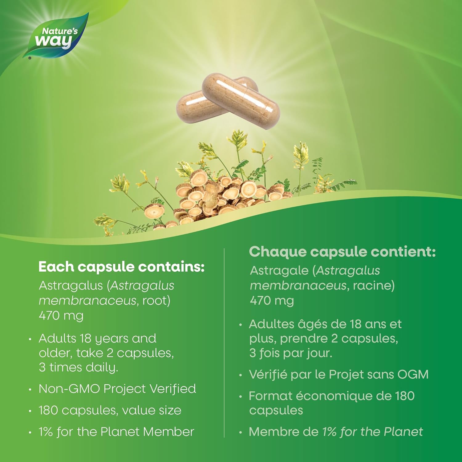 Astragalus Root | Nature's Way Canada | 100 OR 180 Veg Capsules