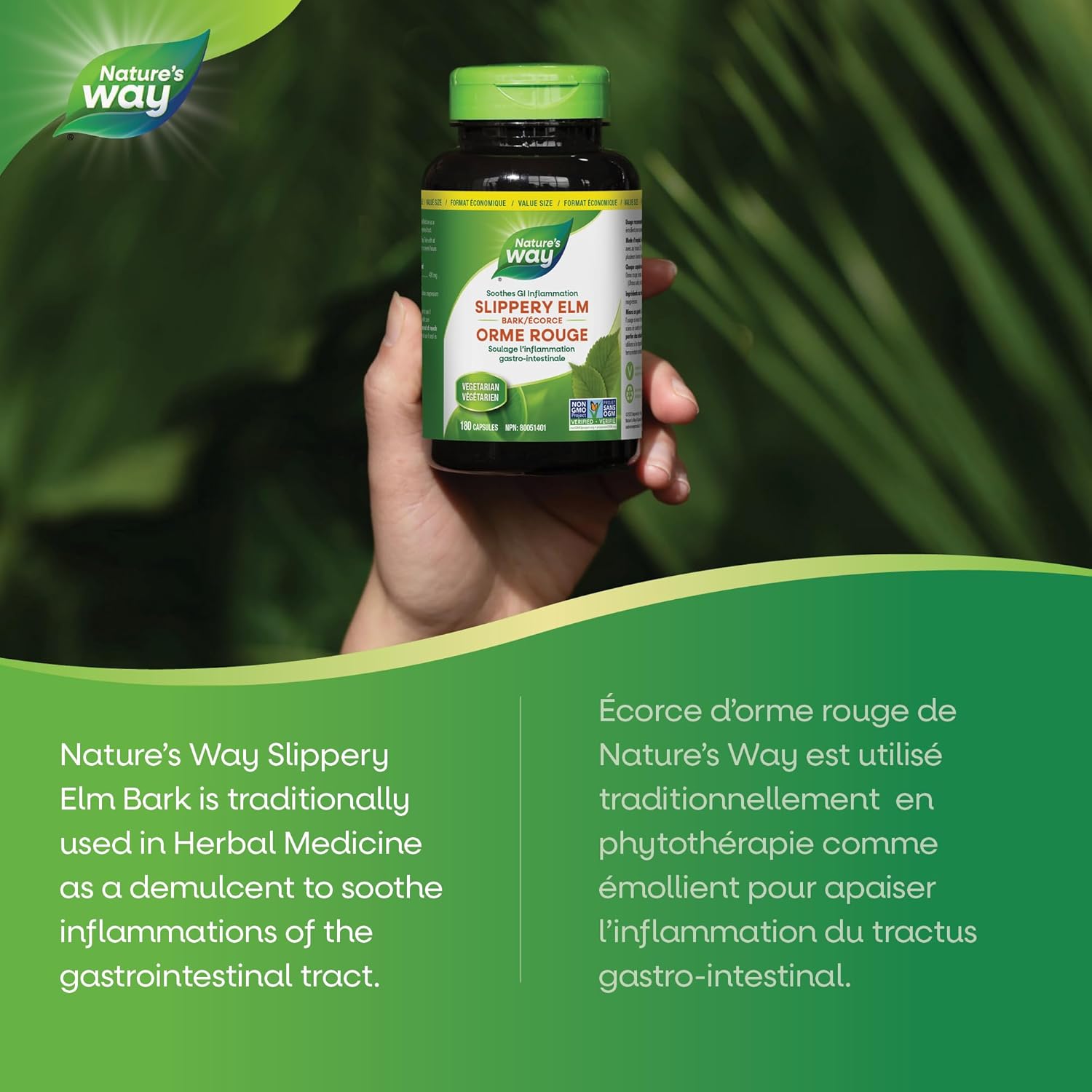 Slippery Elm | Nature's Way® | 100 or 180 Capsules
