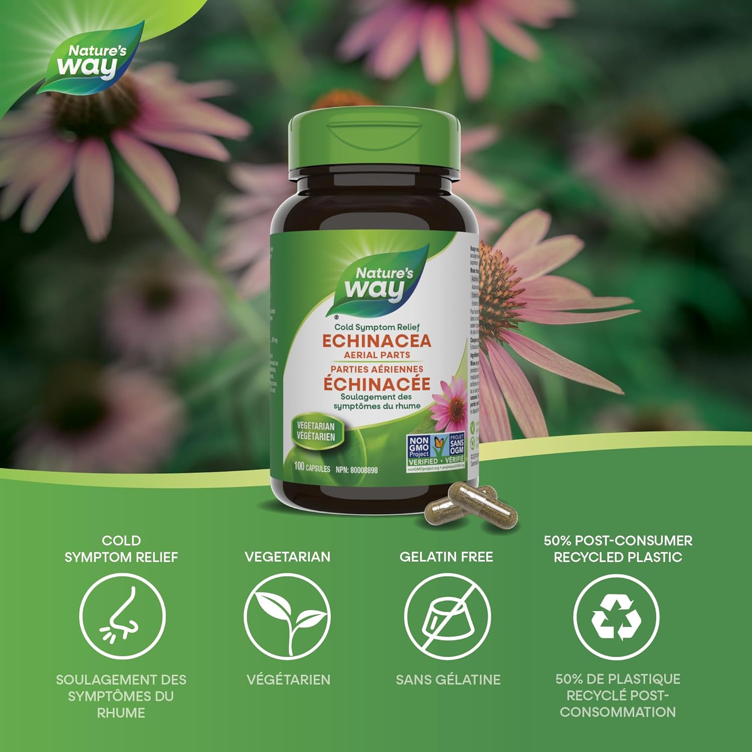 Echinacea Herb | Nature's Way® | 100 OR 180 Capsules