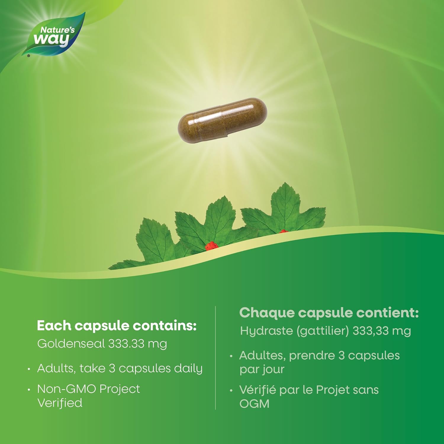 Goldenseal Root | Nature's Way® | 50 or 100 Capsules