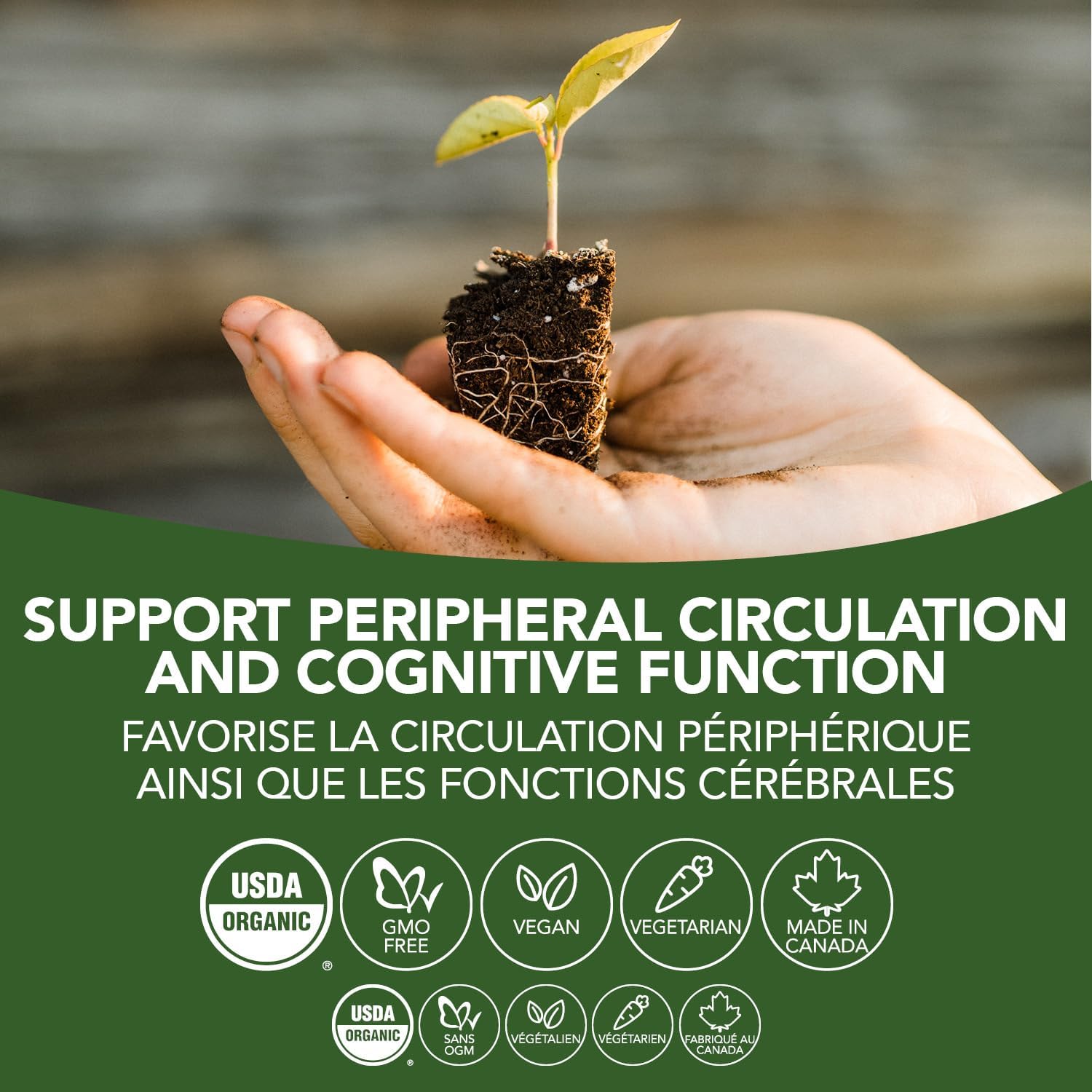 Ginkgo | St. Francis Herb Farm | 50 mL