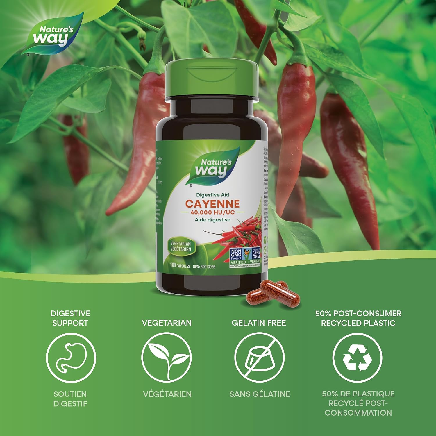 Cayenne, 40,000 HU | Nature’s Way® | 100 or 180 capsules