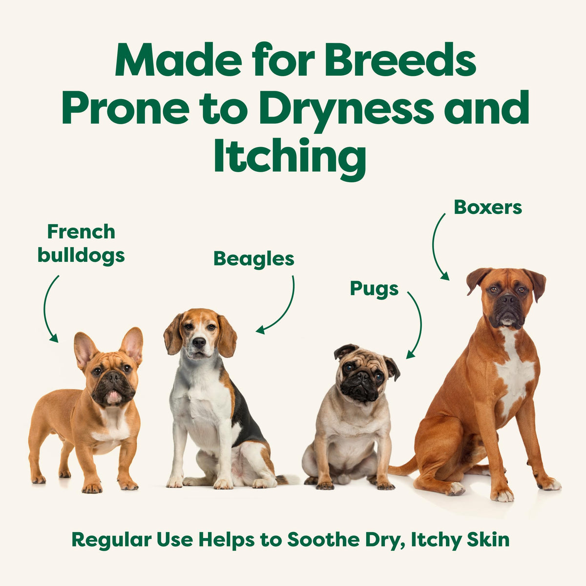 Earth Rated (A Canadian Company), 3-in-1 Soothing Dog Shampoo and Conditioner, Deodorizing Oatmeal Shampoos for Dogs and Puppies, Great for Smelly Pets, White Tea and Basil Scent, 473 ml š All In One Marketplace Canada