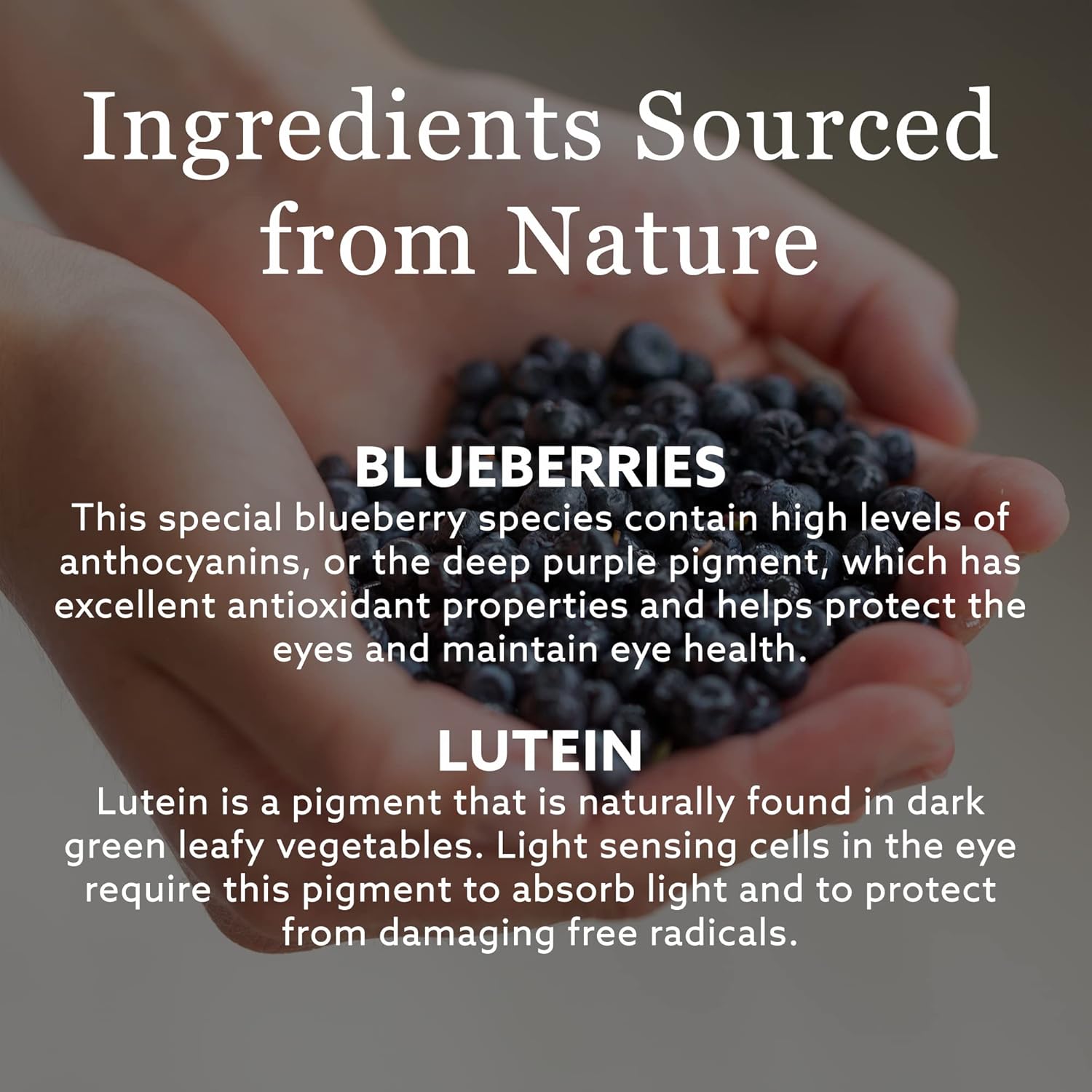 Blue Berry™ Strong | New Nordic | 60 Vegan Tablets