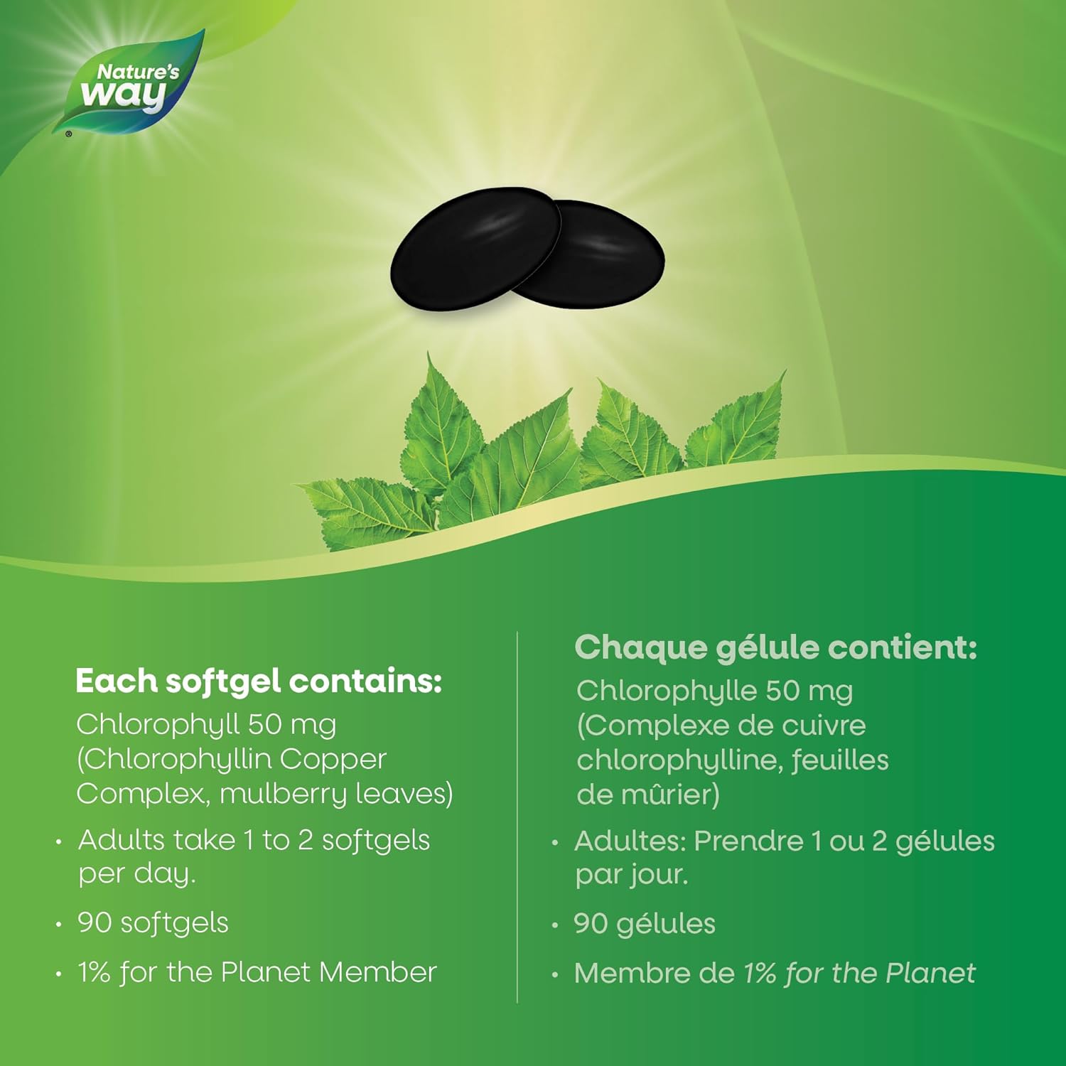 Chlorofresh® | Nature's Way® | 90 softgels