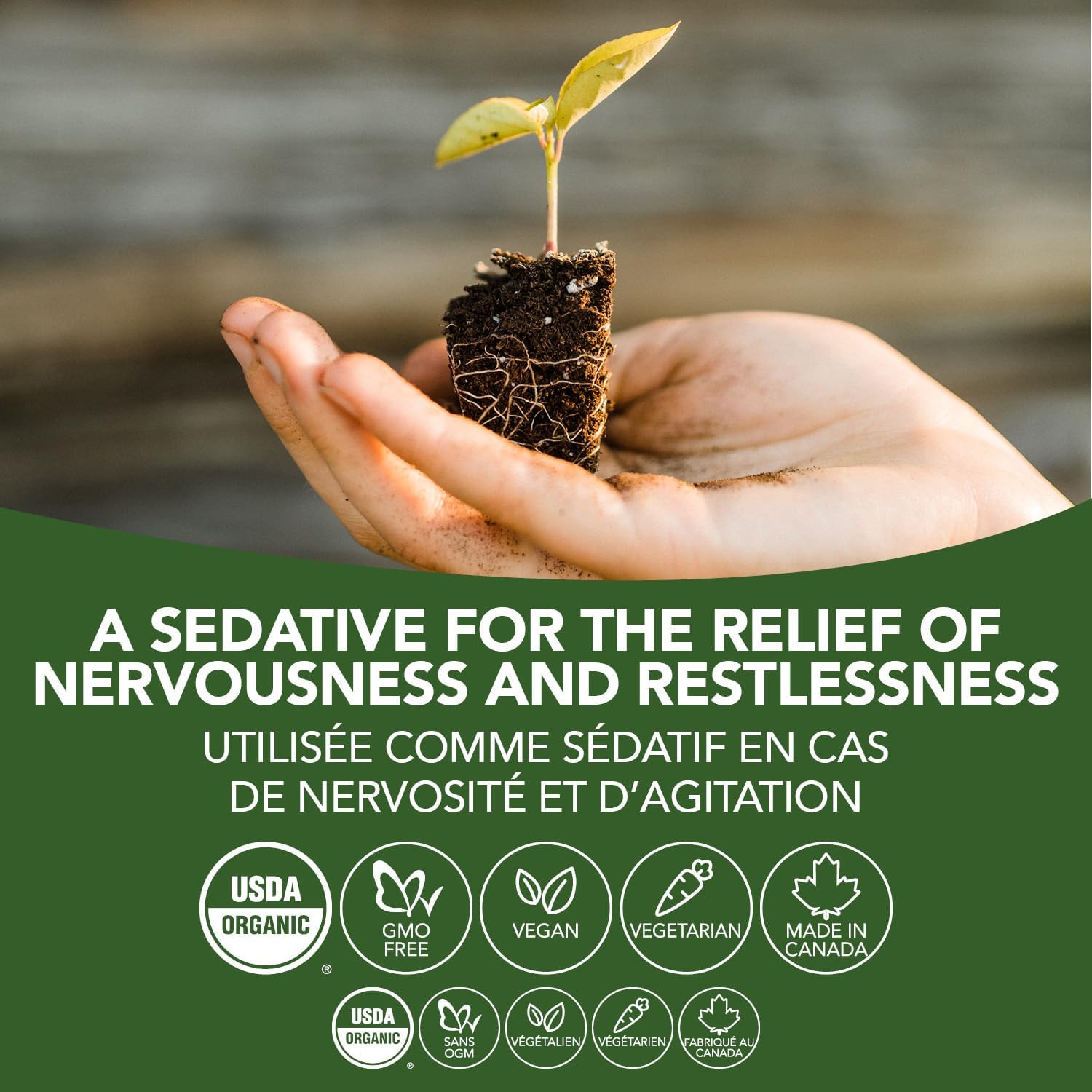 Motherwort | St. Francis Herb Farm | 50 mL