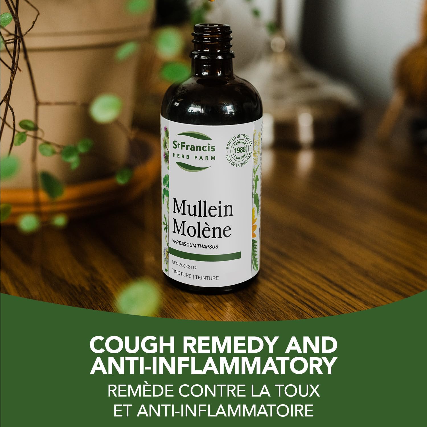 Mullein | St. Francis Herb Farm | 50 mL or 100 mL