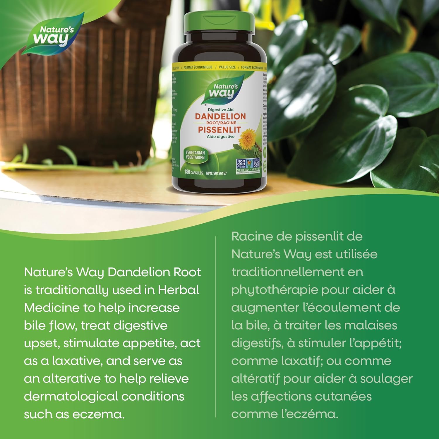 Dandelion Root | Nature's Way® | 100 or 180 Capsules