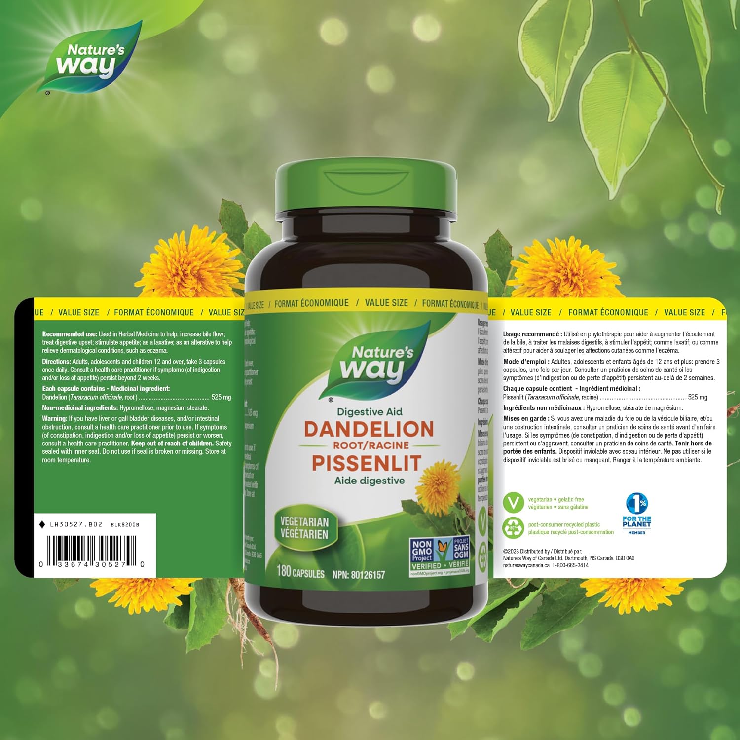 Dandelion Root | Nature's Way® | 100 or 180 Capsules