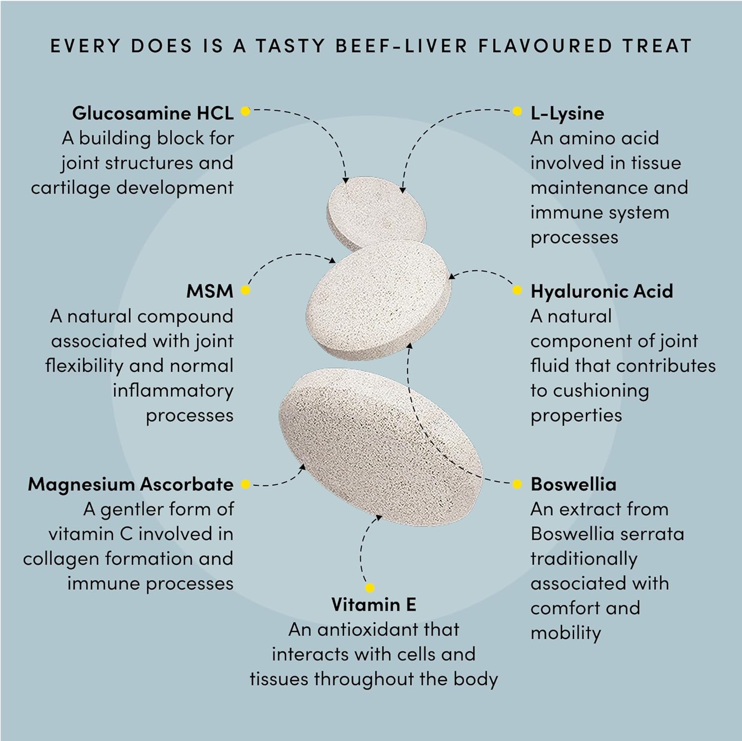 Pet Recovery Extra Strength | Purica® | Various Sizes