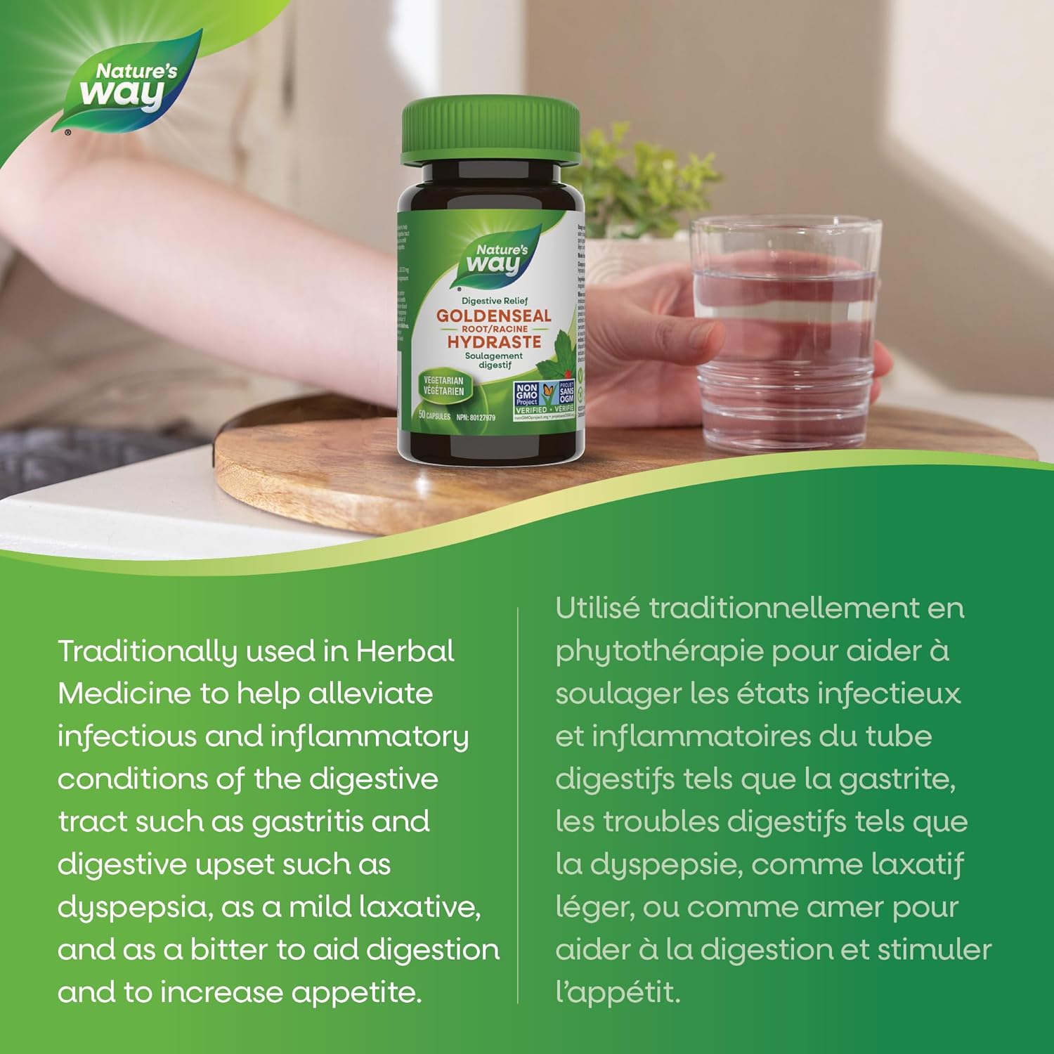 Goldenseal Root | Nature's Way® | 50 or 100 Capsules