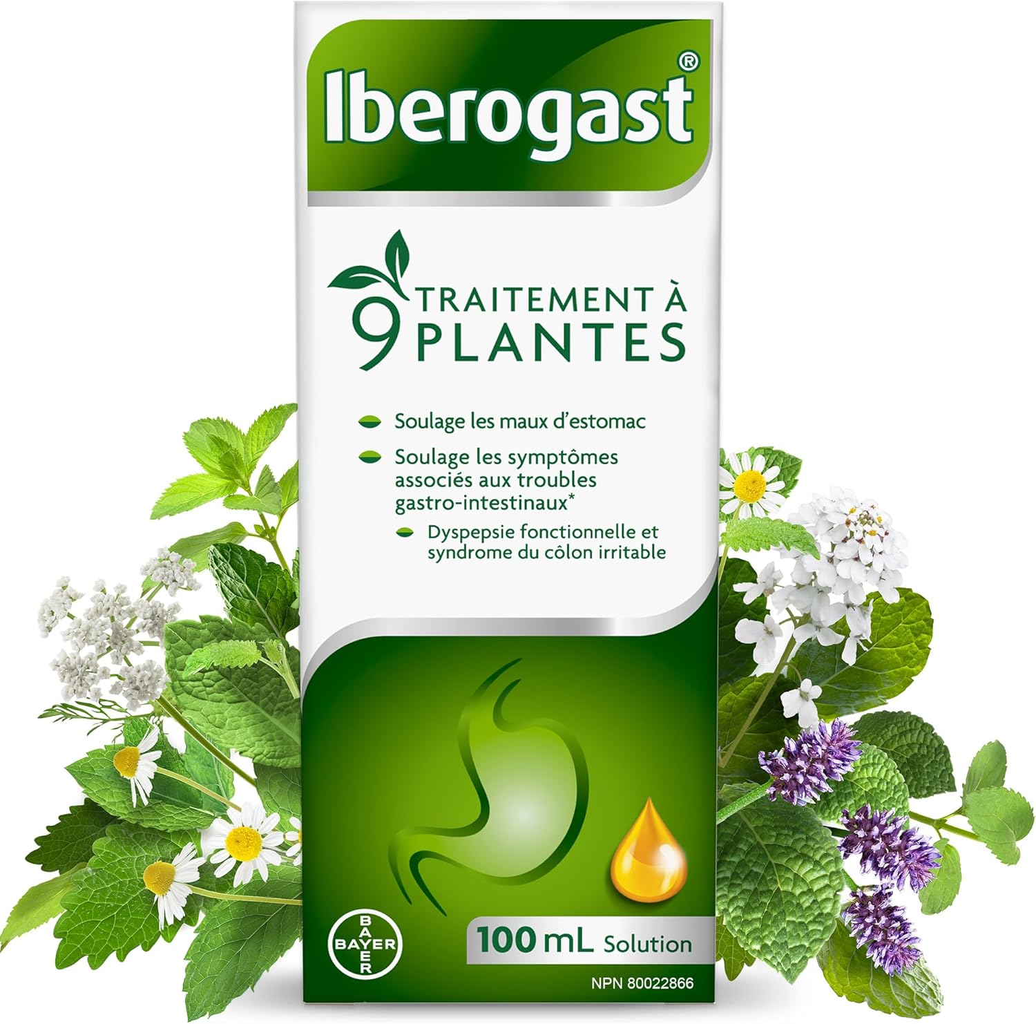 9 Herb Gut Health Treatment | Iberogast® | 100 mL