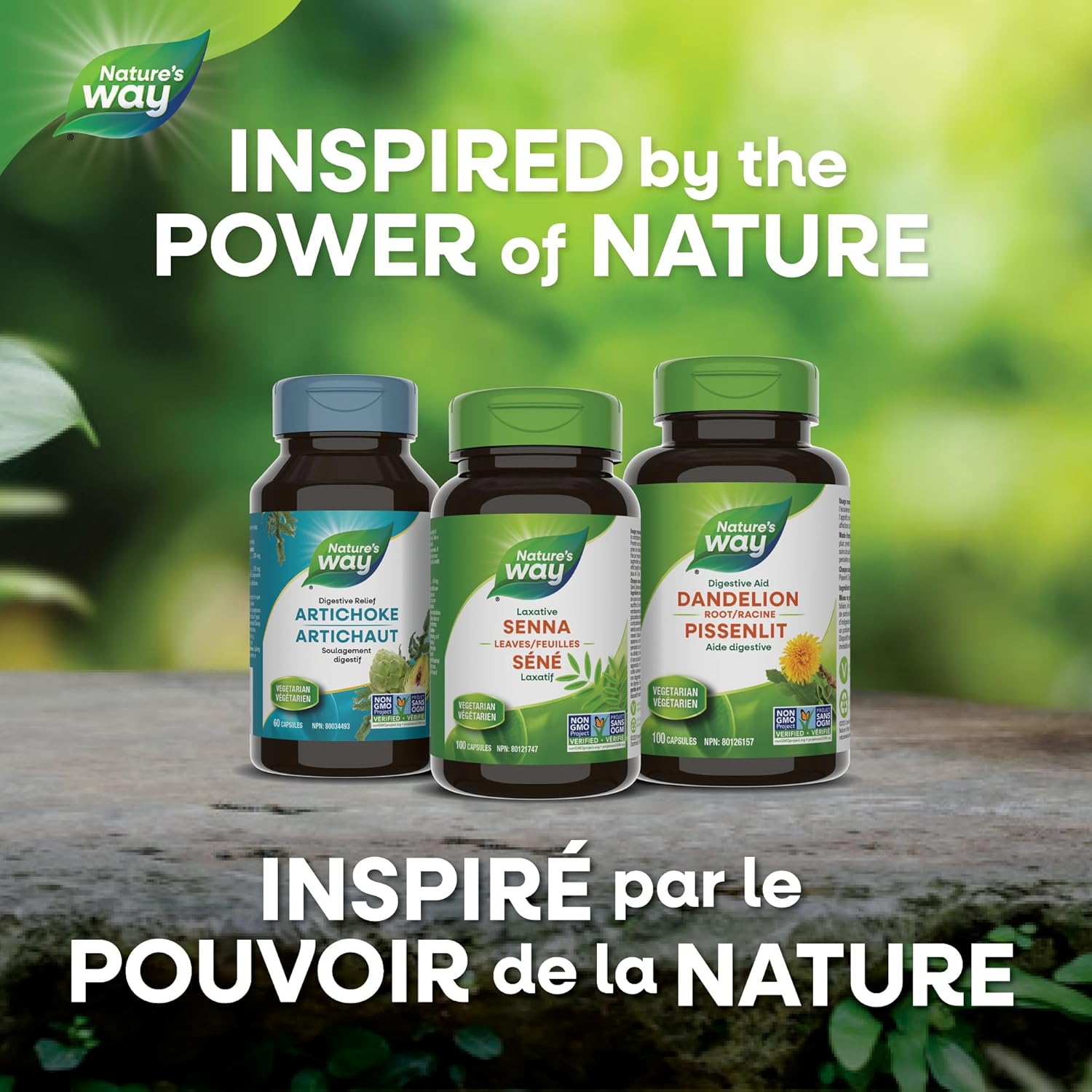 Senna Leaves | Nature's Way® | 100 Capsules