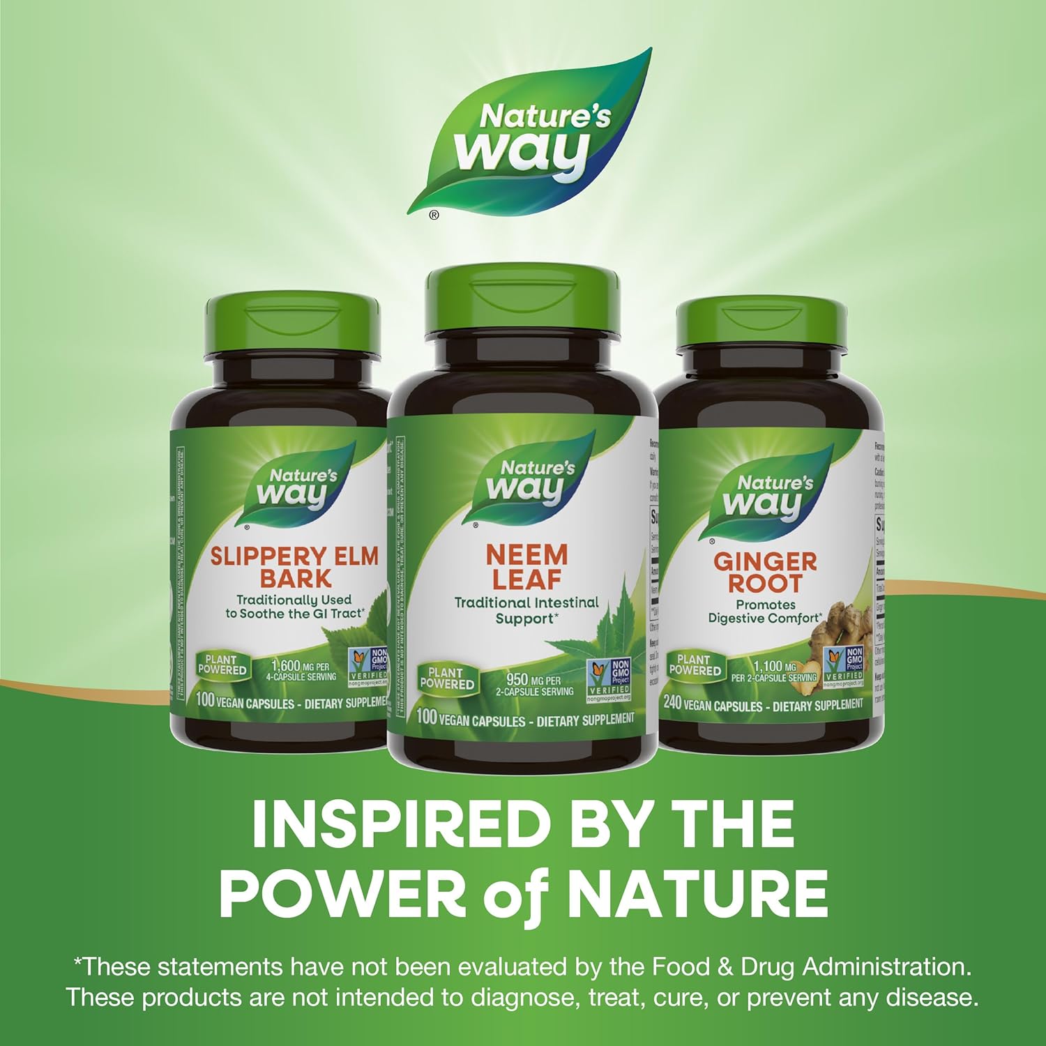 Neem | Nature's Way® | 100 Capsules