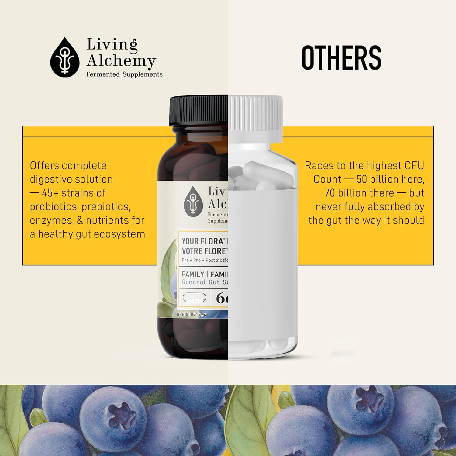 Your Flora Probiotic Family : General Support | Living Alchemy® | 60 Capsules