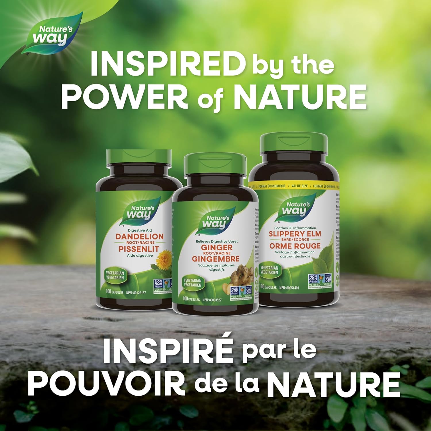 Slippery Elm | Nature's Way® | 100 or 180 Capsules