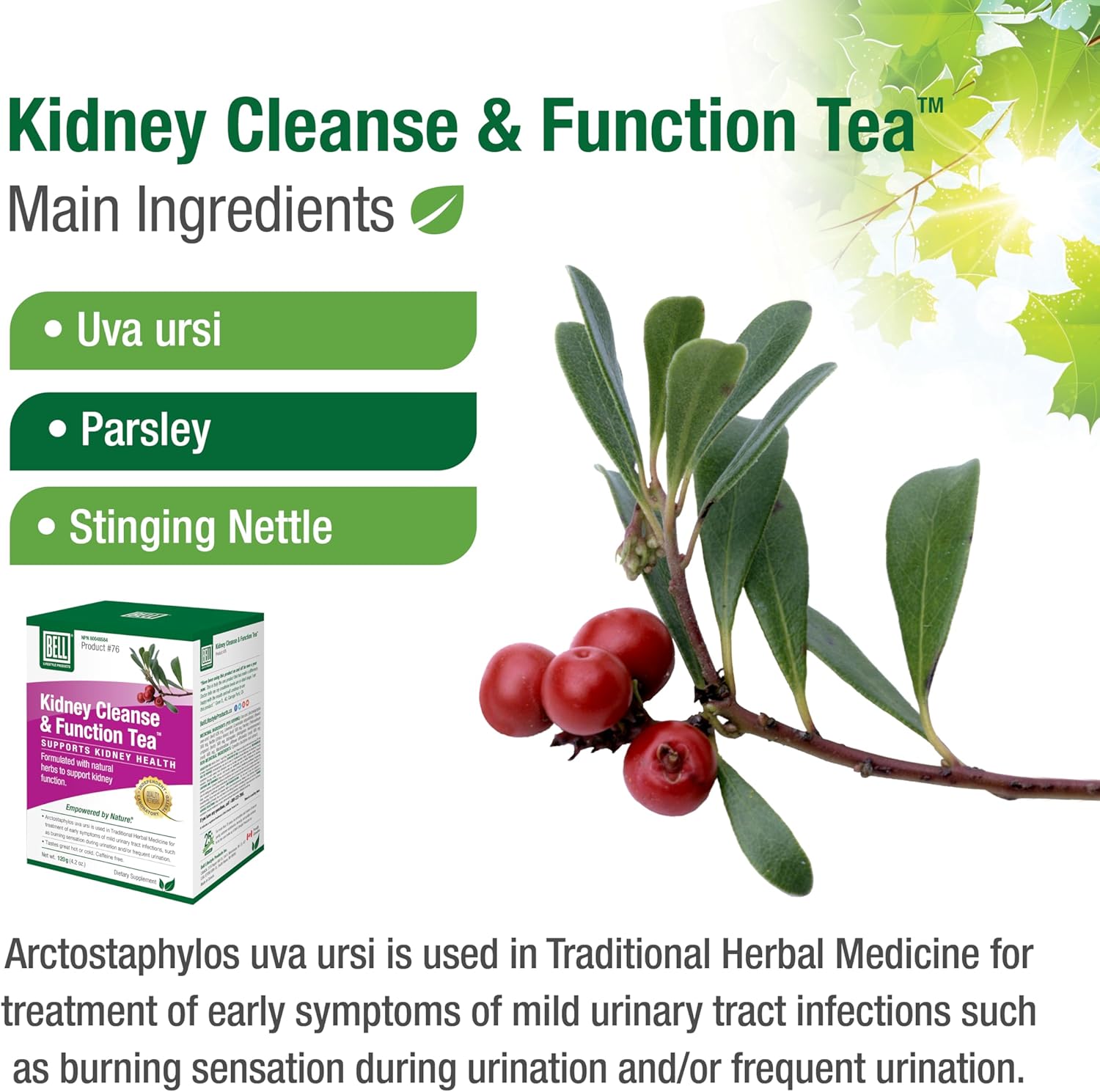 Kidney Cleanse & Function Tea™ | Bell® | 120 gr